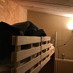 DIY小屋 物置部屋、離れ個室等に