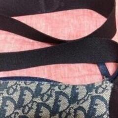 希少　Christian Dior ディオール　ショルダーバッグ　トロッターの画像