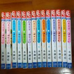 漫画『ハチミツにはつこい』全12巻＋2冊の画像