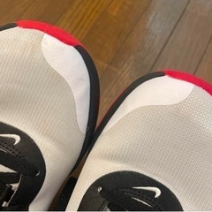 状態良好*NIKE ナイキ　バスケ　バッシュ28cmの画像