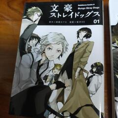 漫画『文豪ストレイドッグス』1巻〜3巻の画像