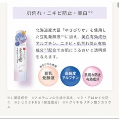 サナ なめらか本舗 マイクロ純白ミスト化粧水 3本セットの画像