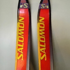 スキー 上級者の中古が安い!激安で譲ります・無料であげます スキー 上級者の中古が安い!激安で譲ります・無料であげます