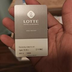 LOTTE ARAI RESORT エコノミークラスチケット　リフト券