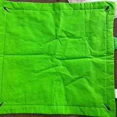 Fisher Price プレイジム マットの画像