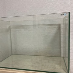 オールガラス60cmハイタイプ水槽
