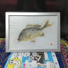 黒鯛、カラー魚拓、原画