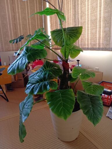 ダミー観葉植物