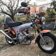 1981年式アメリカンダックス完全レストア改の画像