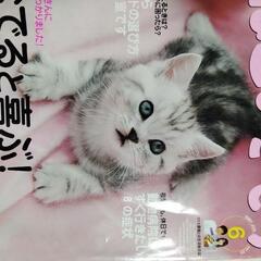 ねこのきもち　2007年1月号~12月号の画像