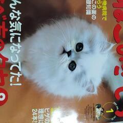 ねこのきもち　2007年1月号~12月号