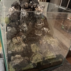 【受け渡し予定者決定】水槽　の画像