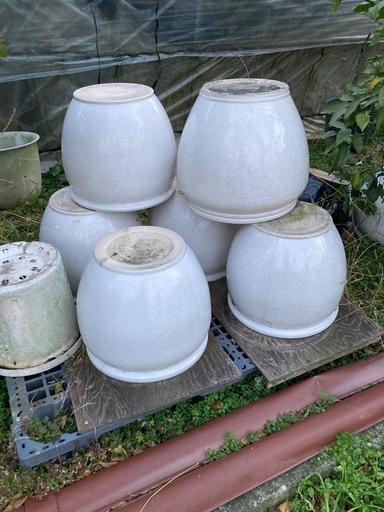 陶器　鉢カバー(1鉢)