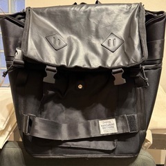 マンダリンブラザーズ　ペット用 リュック 犬 猫 10kgまで