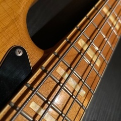 g7 Special／g7-JB M Relic　カスタムオーダー品の画像