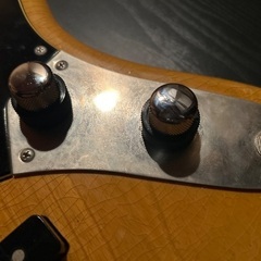 g7 Special／g7-JB M Relic　カスタムオーダー品の画像