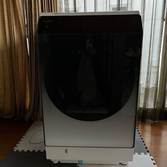 ドラム式洗濯機ES-W114