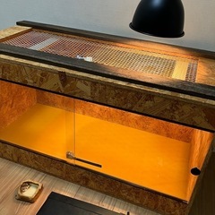 取引完了【自作】中古爬虫類ゲージの画像