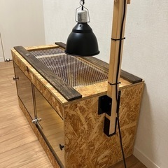 取引完了【自作】中古爬虫類ゲージの画像