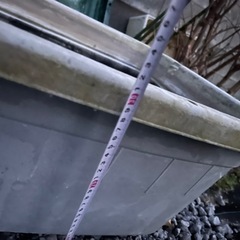 最終値下　金魚　メダカ　飼育　容器　ジャンボ　100L　　タライ　の画像