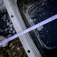 最終値下　金魚　メダカ　飼育　容器　ジャンボ　100L　　タライ　の画像