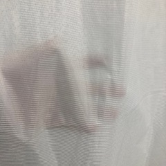 ニトリ　レースカーテン　100×198 の画像