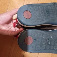 camper 靴の画像