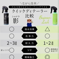 ながら洗車　ビギナーズラックの画像