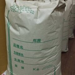 お取引中　令和6年　新米　キヌムスメ