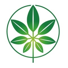 2日運行　大型ドライバーさん急募