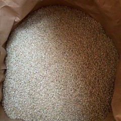 くず米　小鳥の餌　飼料などに　　4の画像