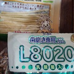 ペットフード　小型犬用 　ドッグフードの画像