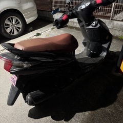 シグナスz
の画像