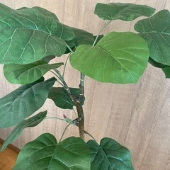 ※商談成立 フィカス ウンベラータ フェイクグリーン  人工 観葉植物の画像