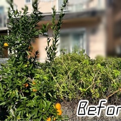 どこよりもお安く草刈りします！(資格有)