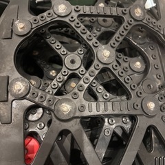 バイアスロン(正規品)QE10の画像