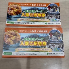 【残り3枚】城島高原パーク　無料入園招待券