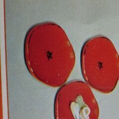 ★根来塗(ねごろ塗）　菓子鉢画像１（根来塗は下地に黒を使い上塗りに朱を使ってるのが特徴で淵に黒が僅か残ってます、付属の栞にも画像が乗ってます画像５）未使用保管品ですが箱は傷み有、又包ん有ります紙は変色してます、ご理解ある方のみ。★お手数をおかけしますプロフィール必読ですの画像