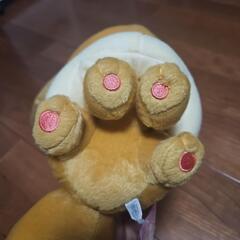 ポケモン イーブイ でっかいコロッとまんまるぬいぐるみの画像