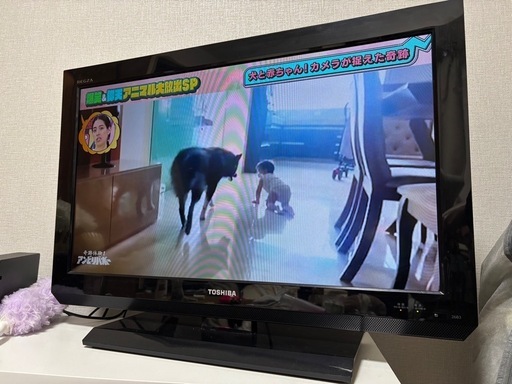 東芝製REGZA26V型液晶テレビ