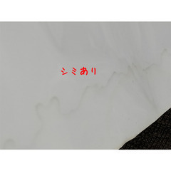 ✿物々交換可✿　冬のソナタ　特大タペストリー　180㎝×120㎝　ぺ・ヨンジュ　チェ・ジウ　の画像