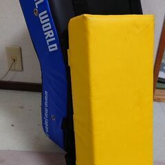 空手キックミット2個セット大きいのはほぼ新品の画像