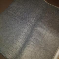 ホットカーペットの画像