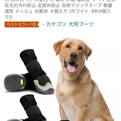 ドッグシューズ　　犬　靴