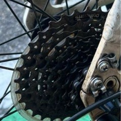 最終値下げ⭐︎直接取引　ルイガノ　