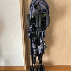 バギーの画像