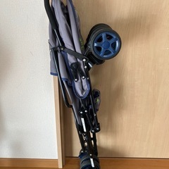 バギーの画像