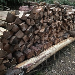 薪　丸太も可能　キャンプに　広葉樹アリ　1kgあたり50円　キャンプ　焚き火　ストーブ　サウナの画像