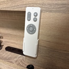 シーリングライト