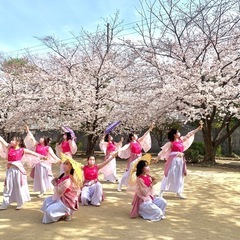 新規メンバー・踊り子募集中‼︎ よさこいチーム【魚崎結舞】 - スポーツ